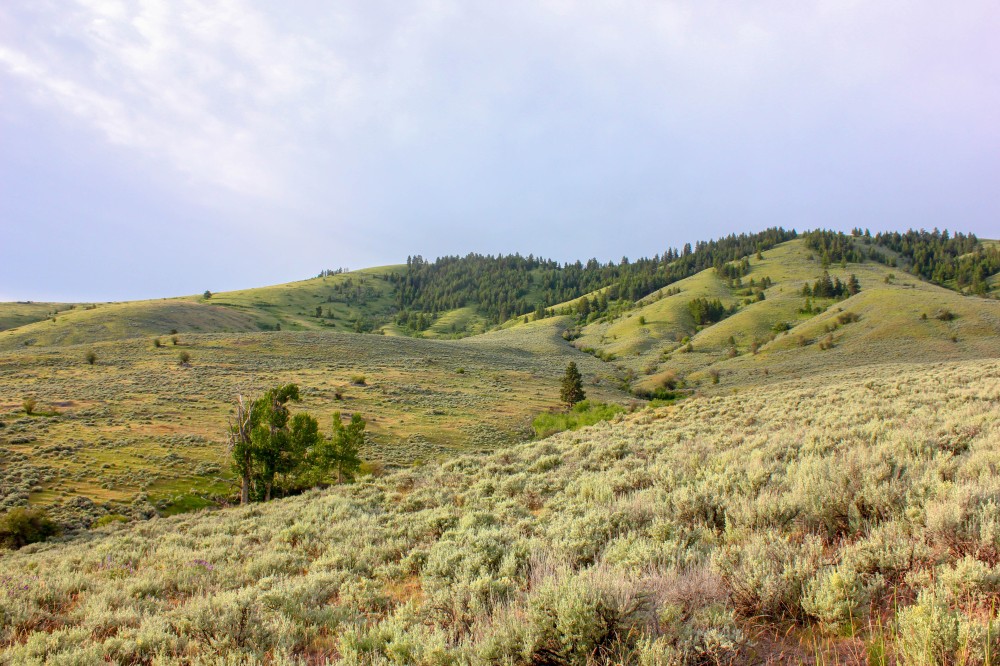 Skalkaho Ranch 320 featured image