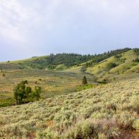 Skalkaho Ranch 320