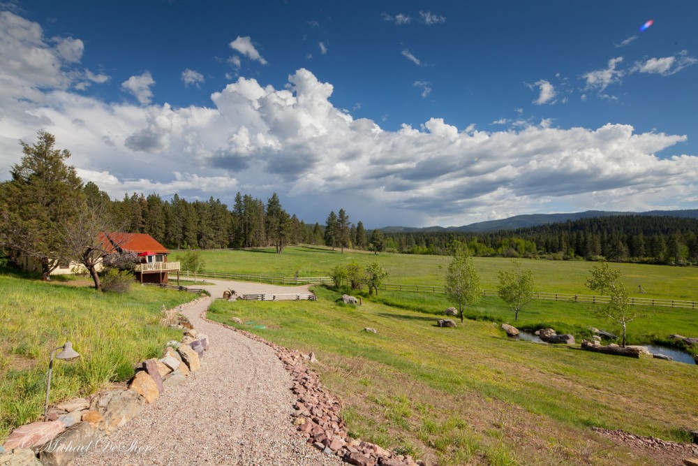Leaping Horse Farm featured image