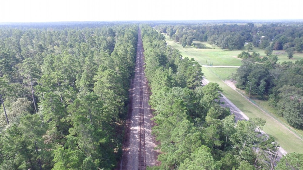 2005 Acres &nbsp; Adjoins Sam Houston National Forest featured image