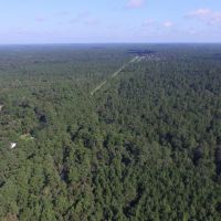 2005 Acres &nbsp; Adjoins Sam Houston National Forest images 2
