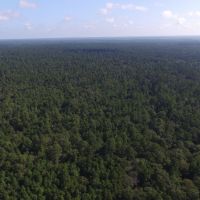 2005 Acres &nbsp; Adjoins Sam Houston National Forest images 3