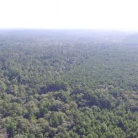 2005 Acres &nbsp; Adjoins Sam Houston National Forest images 4