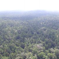 2005 Acres &nbsp; Adjoins Sam Houston National Forest images 6