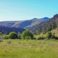 Rock Creek Fishing Lodge images 4
