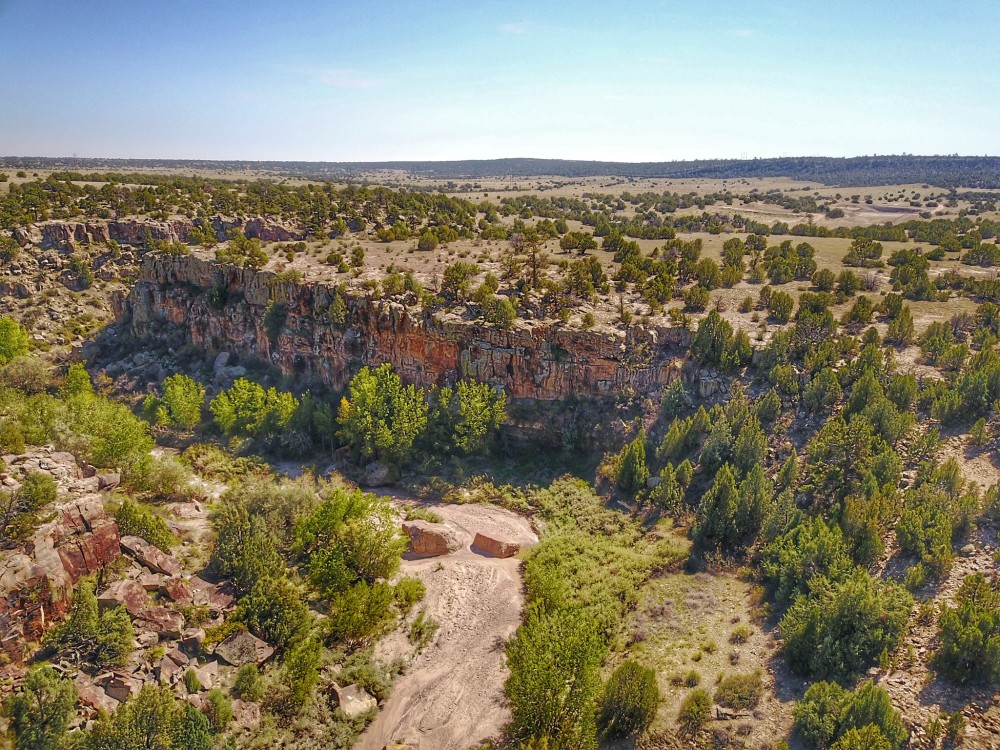 Cedarwood Ranch featured image
