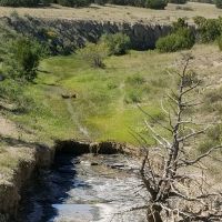 Cedarwood Ranch images 2