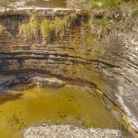 Cedarwood Ranch images 3