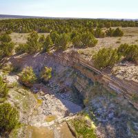 Cedarwood Ranch images 5