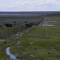 Sparkes  Ellsworth Ranch images 6