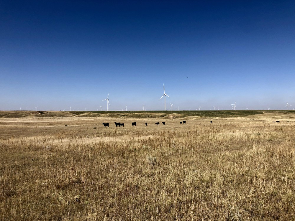 Hell Creek Income featured image