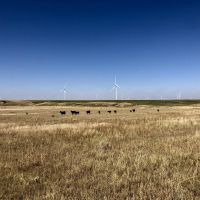 Hell Creek Income images 1