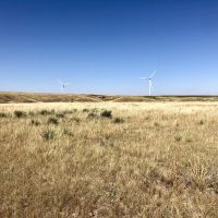 Hell Creek Income images 3