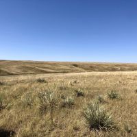 Hell Creek Income images 4