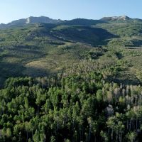 North Starr Ranch images 4