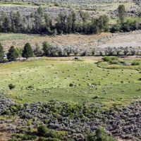 North Starr Ranch images 5