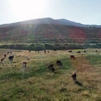 North Starr Ranch images 6