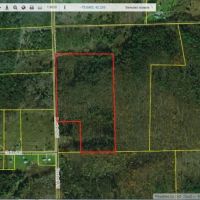 35 acres bordering Bobell State Forest in Coventry NY images 4