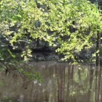 102 Acres in Pontotoc County in Thaxton  MS images 5