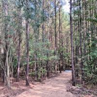 28.40 Acres in NPSD
