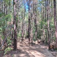 28.40 Acres in NPSD images 3