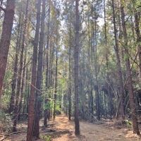 28.40 Acres in NPSD images 4