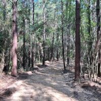 28.40 Acres in NPSD images 6