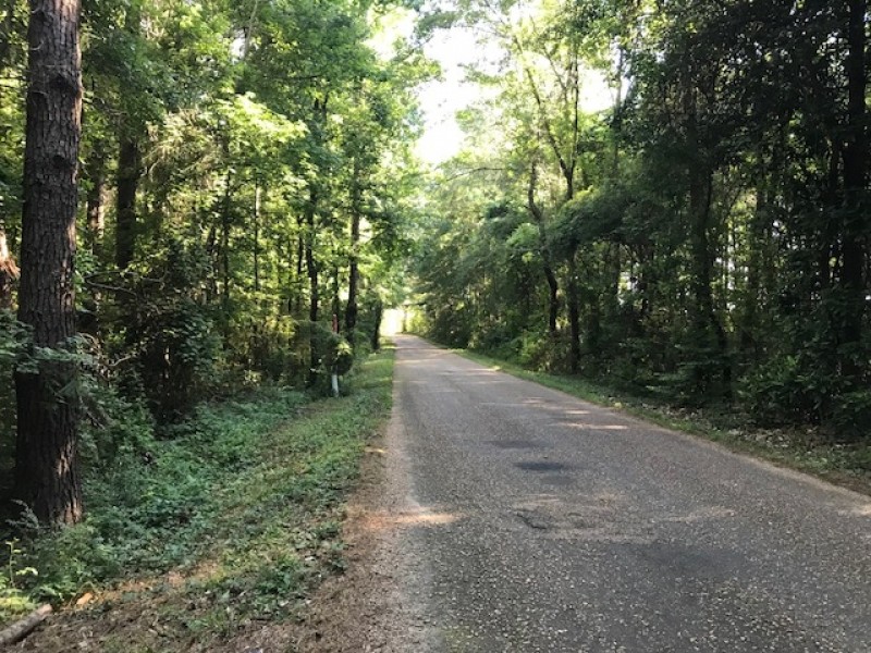 40 acres Gibson Road with Mature Timber featured image