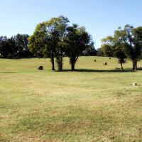 Luxury Riverfront Home with Equine Facilities For Sale in Dalton  AR images 6
