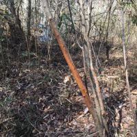 29-048c-calloway-creek-tract-78-acres