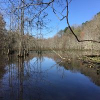 29-048c-calloway-creek-tract-78-acres images 2
