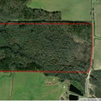 29-048c-calloway-creek-tract-78-acres images 3