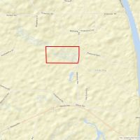 29-048c-calloway-creek-tract-78-acres images 4