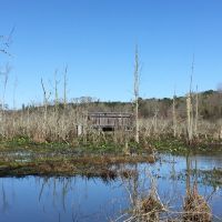 29-048b-calloway-creek-tract-b-121-acres images 3