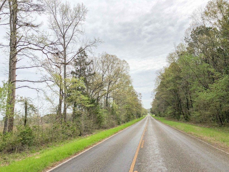 114 Acres &nbsp; FM 130 &nbsp; Tract 1015 featured image