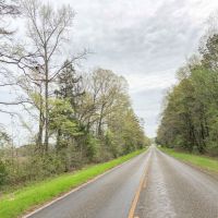 114 Acres &nbsp; FM 130 &nbsp; Tract 1015