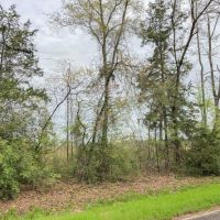 114 Acres &nbsp; FM 130 &nbsp; Tract 1015 images 2