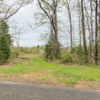 114 Acres &nbsp; FM 130 &nbsp; Tract 1015 images 4