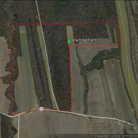 7 day Kentucky whitetail hunt on 213 acres of western Kentucky bottom ground