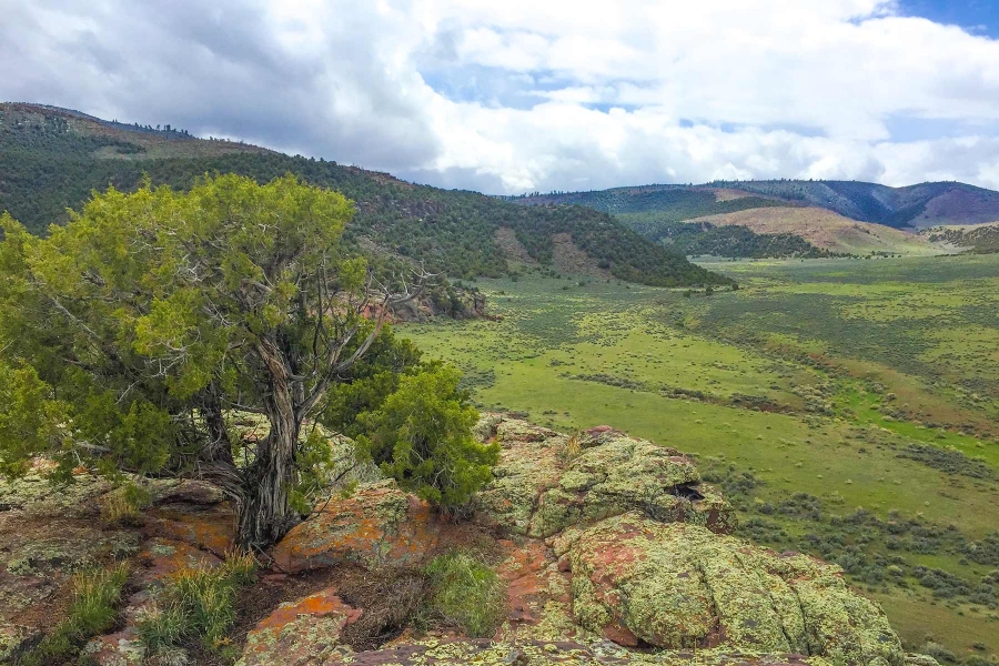 Snake River Land Cattle Ranch Hunting Land for Sale HuntingLocator