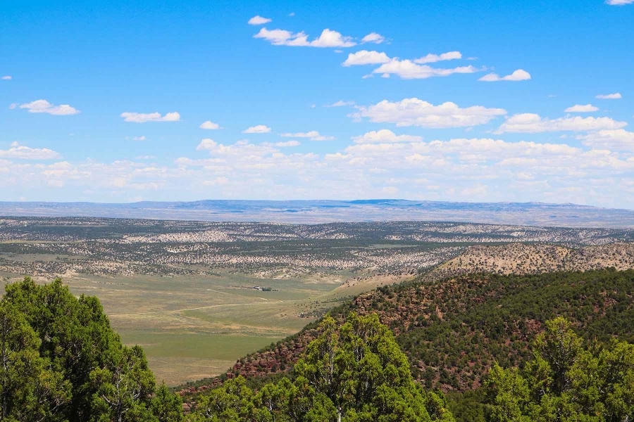 Snake River Land Cattle Ranch Hunting Land for Sale HuntingLocator