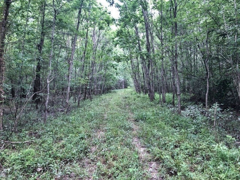 255 Acres Hunting Land for Sale Pearl River County MS Hunting Land
