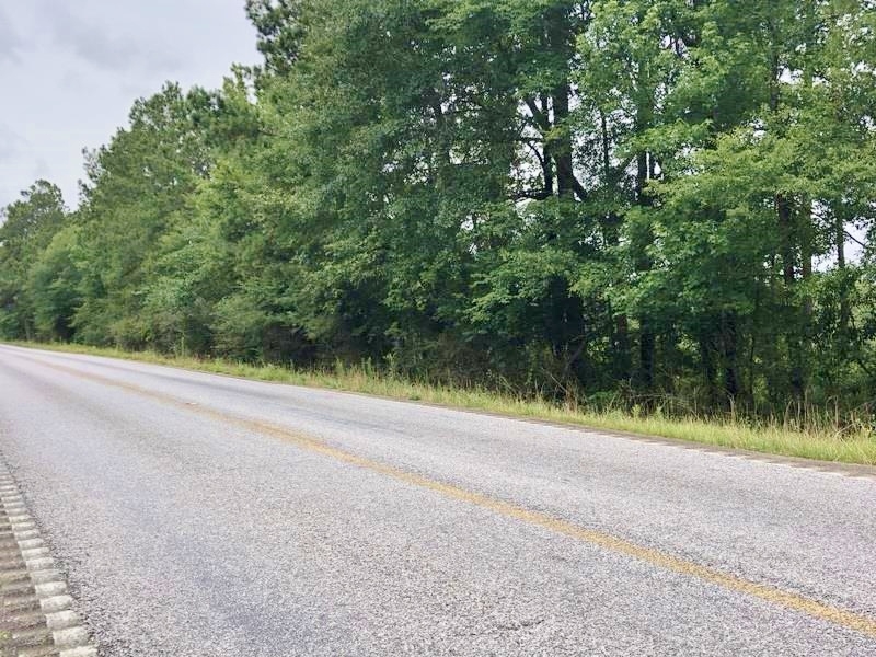 255 Acres Hunting Land for Sale Pearl River County MS Hunting Land