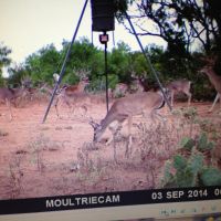 Outdoor Hunting Professionals