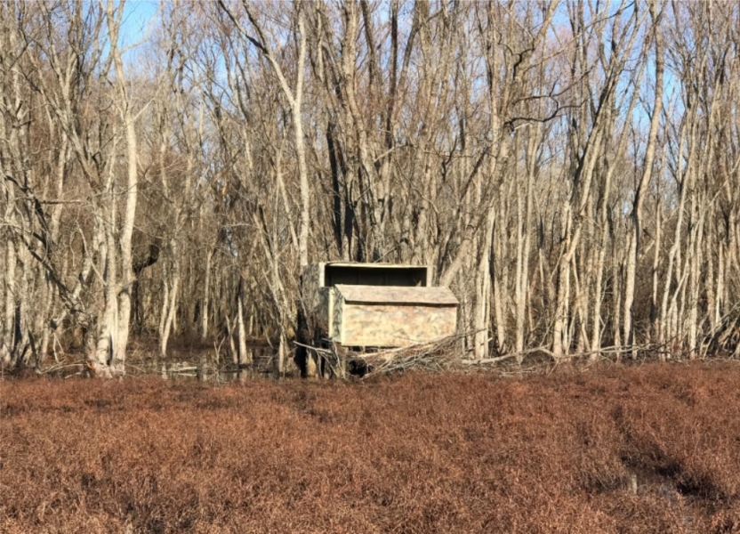 308 Acres in Quitman County in Marks MS Hunting Land for Sale