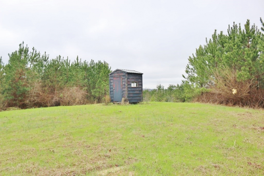 30 Acres Hunting Land Heidelberg Jasper County MS Hunting Land for