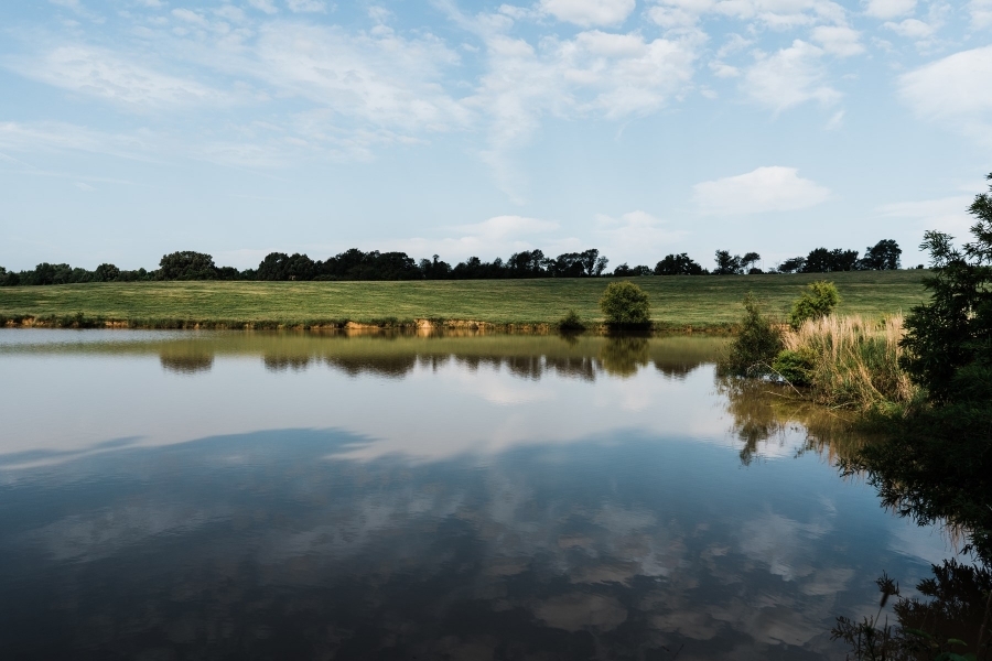 Productive Cattle Ranch &nbsp; Private Lake For Sale in Western TN featured image