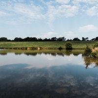 Productive Cattle Ranch &nbsp; Private Lake For Sale in Western TN