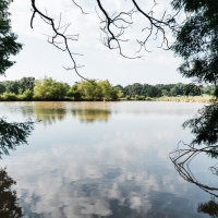 Productive Cattle Ranch &nbsp; Private Lake For Sale in Western TN images 2