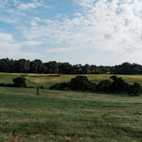 Productive Cattle Ranch &nbsp; Private Lake For Sale in Western TN images 4